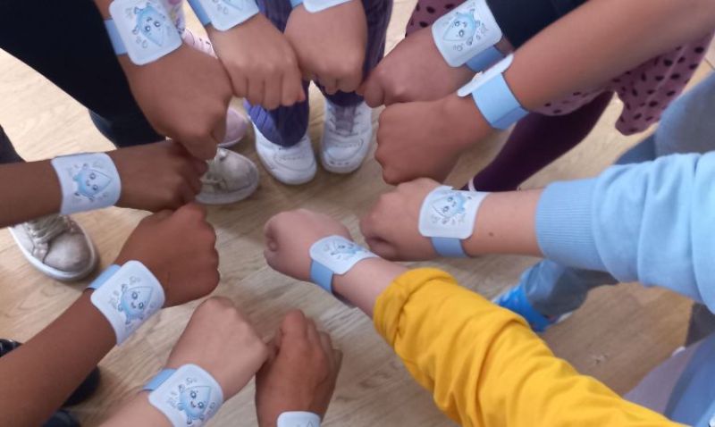 Parteneriate 2025 nevalidate/anulate