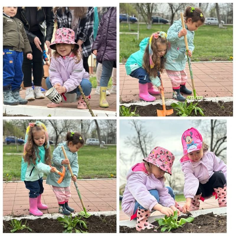 De ce să participi în cadrul Proiectului Internațional Eco Junior 2026